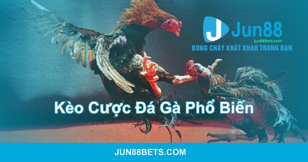 Các kèo đá gà phổ biến