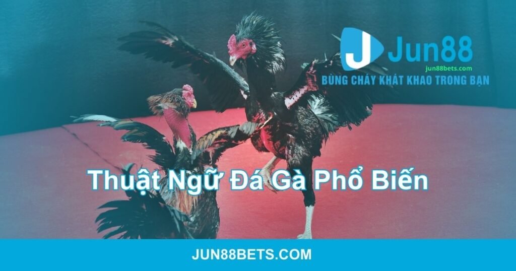 Thuật ngữ đá gà